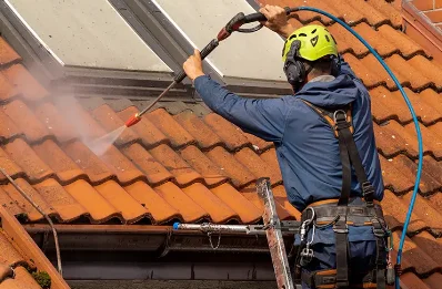Démoussage et hydrofuge de toiture à Lussagnet
